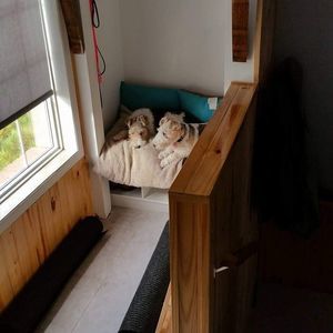 Meet your Posher, Dan